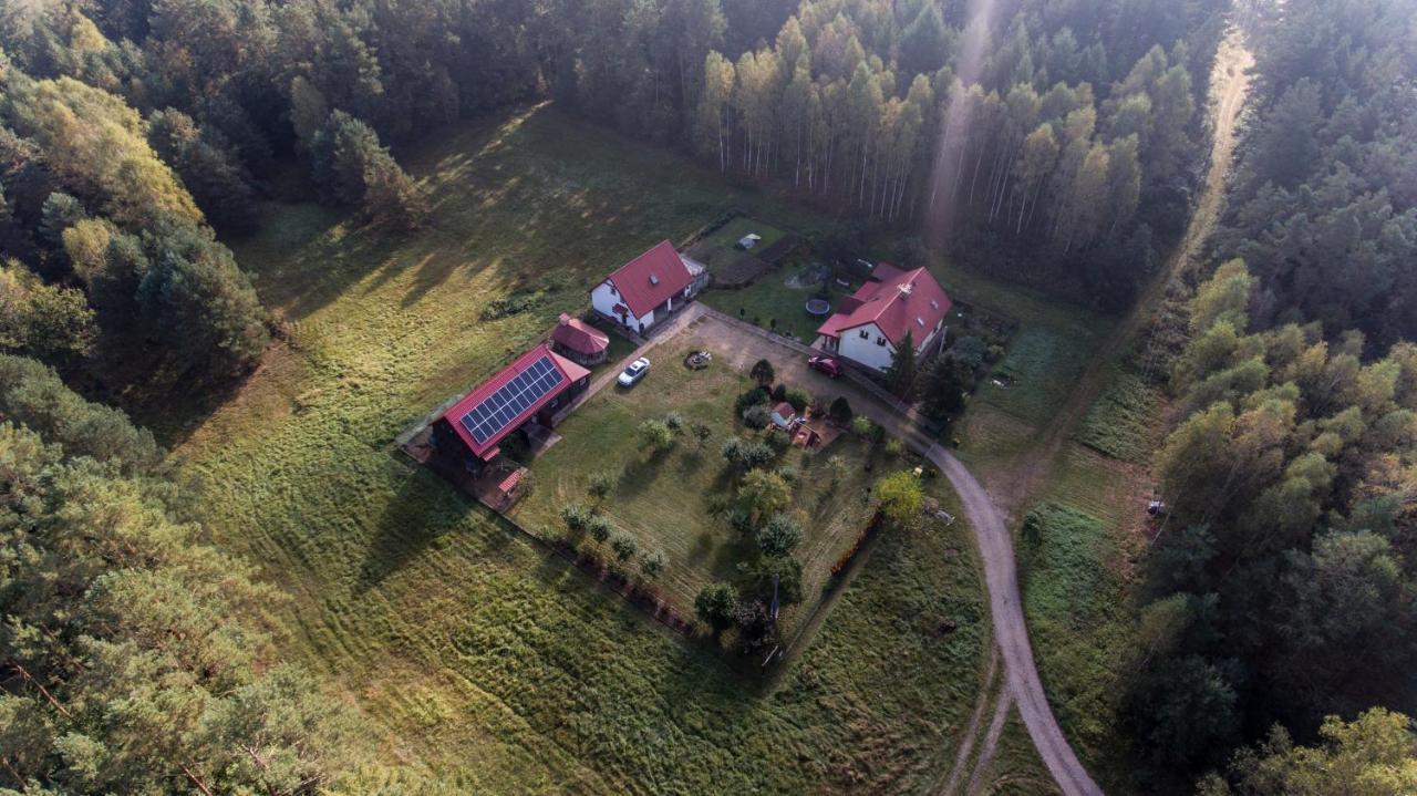 Pokoje W Lesie Miłomłyn Kültér fotó
