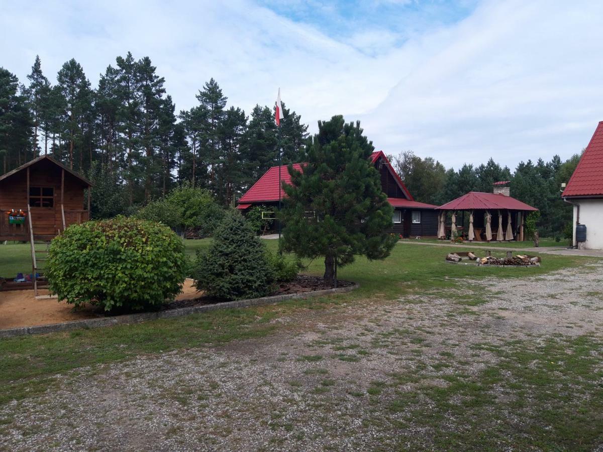 Pokoje W Lesie Miłomłyn Kültér fotó