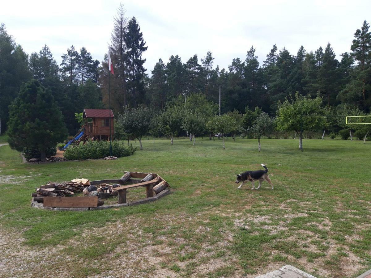 Pokoje W Lesie Miłomłyn Kültér fotó